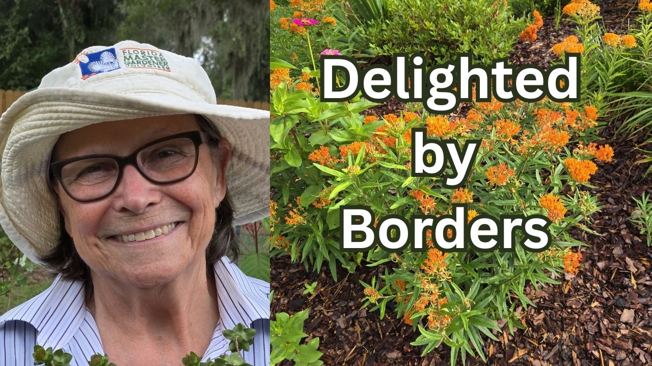 Border Plants Your Garden Needs/Garden Tour Discoveries