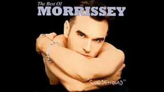 Video thumbnail of "Morrissey - Suedehead (instrumental)"