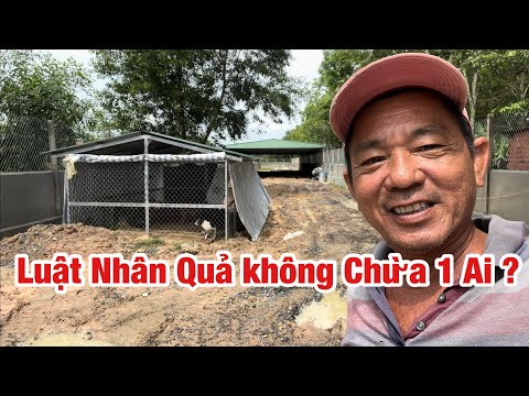 Video Luật Nhân Quả Không Chừa 1 Ai ? Kể Cả Ném Đá Giấu Tay,... - youtube