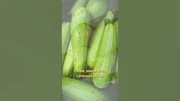 Этот кабачок созреет раньше огурцов!