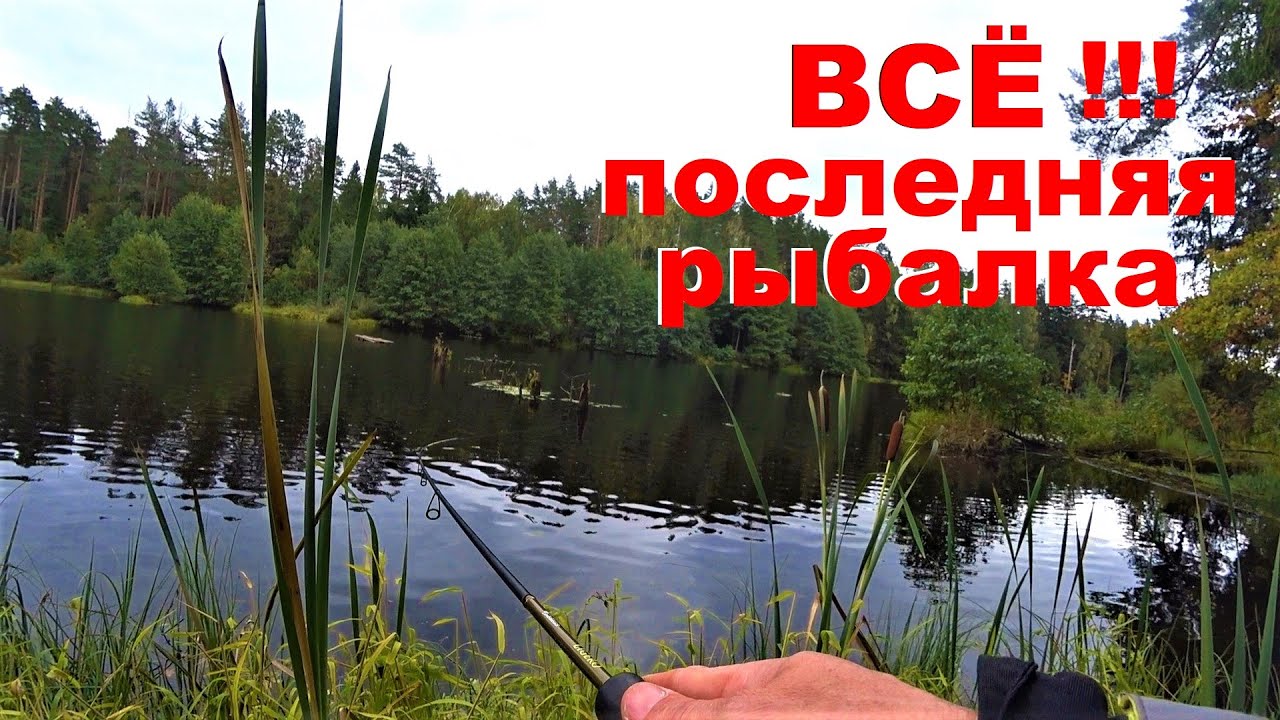 Самая бюджетная осаго