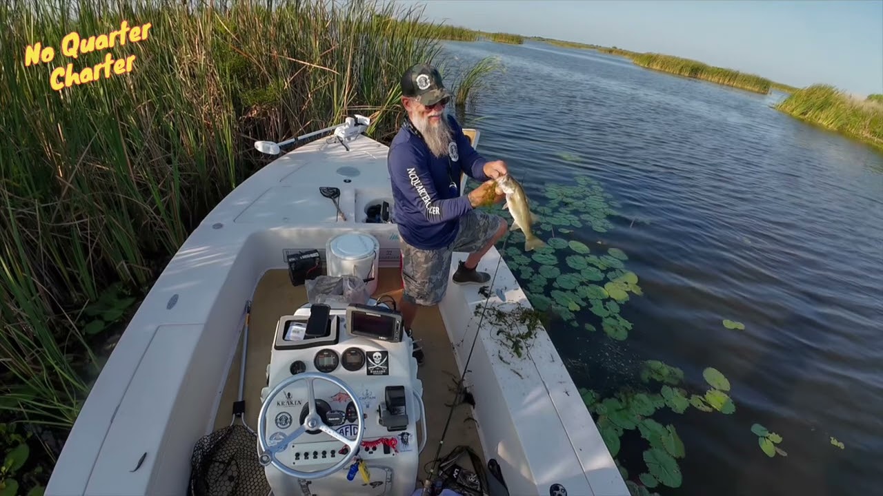 Bass Fishing @ Headwaters 🏴‍☠️ No Quarter Charter 🏴‍☠️