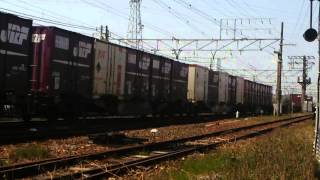 2014/4/8 EF66 105牽引高速貨物3077列車。W48Aコンテナ。