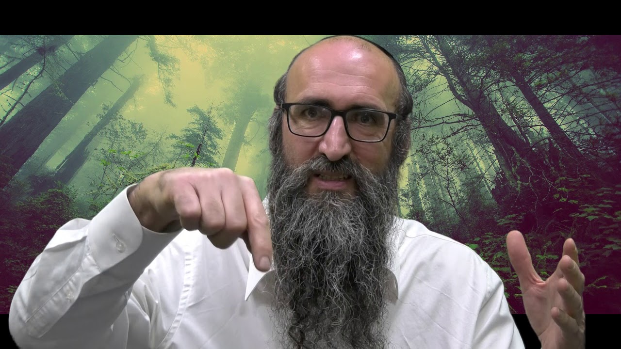 ON VA CHANGER LE MONDE 19 - L'axe et le rond sur la loi ! - Rav Itshak Peretz