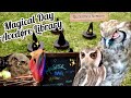 Magical day with owls
