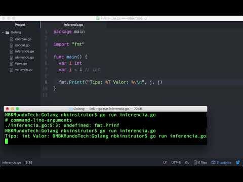 0010-10 Inferência de Tipos na Linguagem Go (Com Constantes Numéricas)