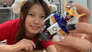 アラサー飲酒ガンプラ配信