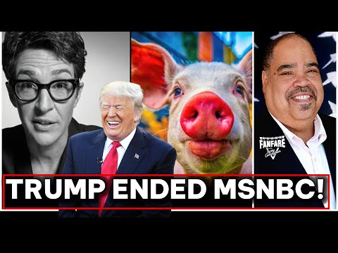 Thumbnail for MUST SEE: It's Official! President Trump ENDED MSNBC!