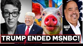 MUST SEE: It's Official! President Trump ENDED MSNBC!