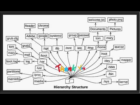 The tree of directory Linux #commandandconquer