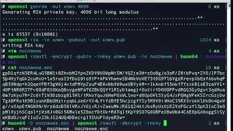 openssl rsa rsautl genrsa