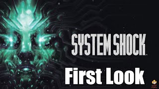 System Shock - First Look!, Retro-Shooter Remake