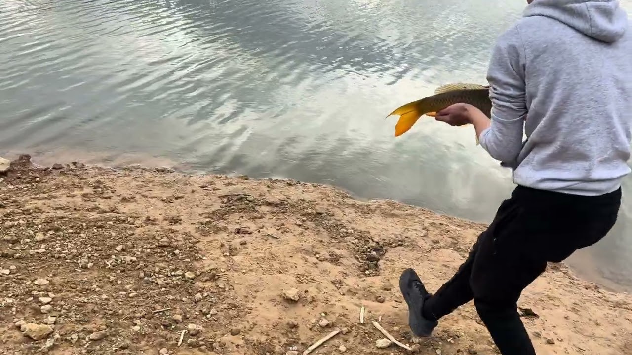 Captura y suelta siempre 🇪🇸🇪🇸🇪🇸