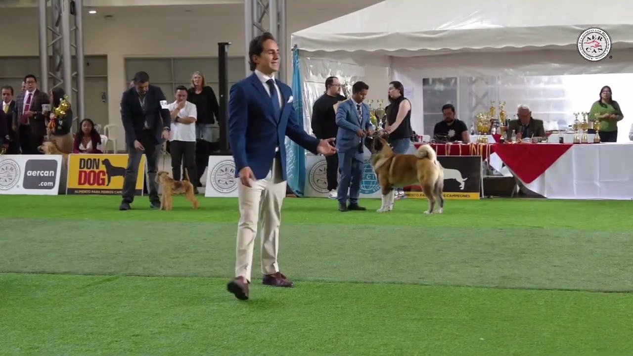 FINALES 14 DE SEPTIEMBRE 2025 JUAN MIRANDA  AERCAN