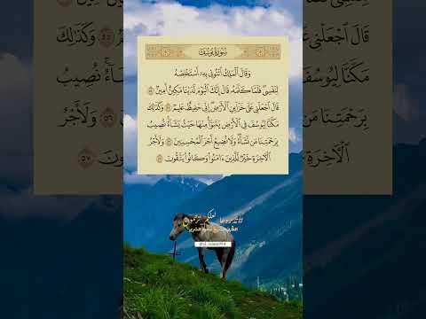 وقال الملك ائتوني به أستخلصه لنفسي يوسف 54 57 القارئ سعود الشريم قرآن