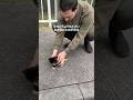 事故で生き延びたサニー君、生きている毎日が奇跡