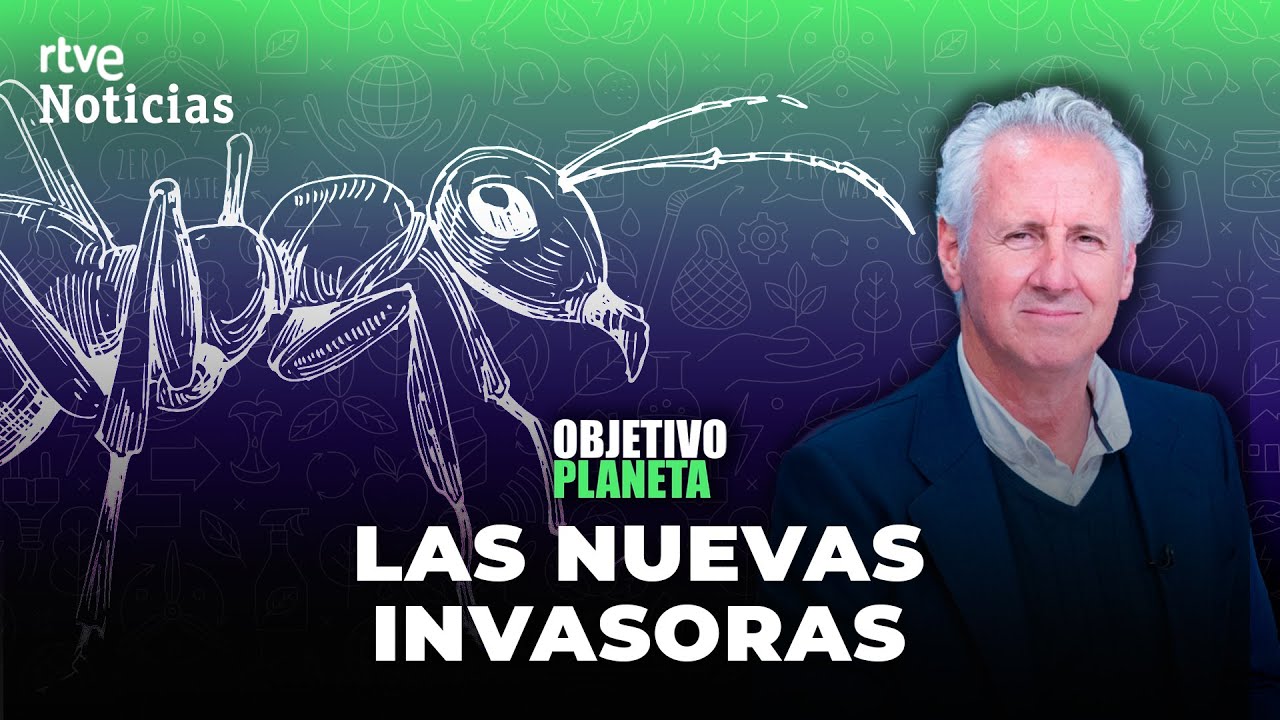 ESPECIES INVASORAS: LORENZO MILÁ sobre el RIESGO de las NUEVAS 1.000 ESTUDIADAS | RTVE