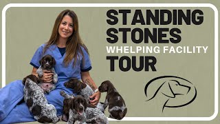 Standing Stone Kennels Puppy Whelping Facility Tour