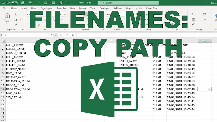 Copy list of filenames from folder into Excel (Windows)