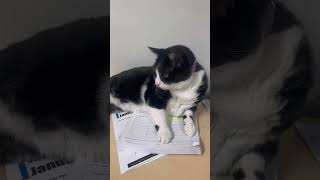 Leave My Stuff Alone Please