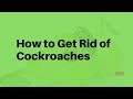 How to get rid of Cockroaches in Yorkshire, UK: Pro Bug Control tip 
https://www.apex-pest-control.co.uk/cockroach-control/

A single solitary cockroach egg case can consist of approximately 40 private eggs, every one of which will reach sex-related maturity in as low as 10 weeks. So you can see just how one cockroach can swiftly multiply right into a nightmare-inducing situation

To eliminate the roach danger, it's vital to kill cockroaches in its early stages, as well as it's best to act promptly at the initial indication of an intrusion. In this guide, how to get rid of cockroach, you'll find out just how to determine a cockroach problem.

Do Not Wait to Get Professional Assistance in Roach Control

While DIY and also preventative procedures can assist, also splashing down boric acid cockroaches are notoriously challenging to eliminate roaches. It is always suggested to connect for expert assistance at the first signs of trouble in killing cockroaches before a small number of trespassers turns into a straight-out uncontrollable problem.

At Apex pest control, we proudly serve the Yorkshire from Sheffield to Leeds, UK neighborhoods. Helping home as well as local business owner eliminate roaches.

Types of Cockroach

There are 4 substantial sorts of cockroach varieties generally seen in the Yorkshire location:
.
- German cockroach.
- Oriental cockroach.
- American cockroach.
- Banded cockroach
.
Both most common kinds are German and also Oriental cockroaches.
German roaches are 12 to 16mm long, light or dark brownish, and also feature 2 black red stripes down their lengthy wings. 

They prefer dark areas and also are fast runners, looking for a dark corner as quickly as the lights get turned on.
German cockroaches grow in warm locations with lots of food sources, such as houses and dining establishments. Their speed typically makes them difficult to identify until a full-blown problem.

The Oriental cockroach can be as long as 22 to 30mm. The insect is typically glossy black or brownish as well as are slower than the German counterparts. They give off a stuffy odour. The Oriental roaches prefer dark, wet areas like basements, garden sheds, and sewers. Their egg sacks are dark brownish as well as 8-10mm long

The less common American roach is a reddish-brown with a yellow figure eight on the backs of their heads while the banded cockroach has pronounced banding across their wings. Grouped cockroaches prefer cozy and also dry areas while American cockroach likes wet locations around drainage pipelines as well as cellars

The Length Of Time do Cockroaches Live?

The German cockroach can measure up to 100 days where the Asian roach has a somewhat longer lifespan of as much as 180 days. Women cockroaches can create 4 to 8 egg instances in their life, each including 16 to 40 eggs

The reason a Cockroach Intrusion Ought To be Taken Seriously

Along with the basic ickiness like having bed insects in your house or company, cockroaches can present a severe health risk. It's recognized roaches bring diseases such as Gastroenteritis, Dysentery, and Salmonella

As a company owner, a clients or customer detecting a cockroach on your property could additionally cause a destructive evaluation or impact to your credibility!

How Do I Remove Cockroaches in My Residence or Company?

Removing a cockroach problem on your own is notoriously difficult. This is since roaches commonly nest in locations that are hard to see with the nude eye hiding in fractures and gaps. Lots of over the counter products such as sticky catches and roach hotels may serve for determining you have an issue. However do extremely little regarding a long-term remedy professional bait terminals are called for

Some store-bought insecticides might be a lot more reliable if used thoroughly and also in the correct areas. But might likewise be hazardous to children and also pet dogs, so be sure to review the instructions carefully before use

Altogether, it may be best to skip the time and also money you will certainly invest in Do It Yourself therapies as well as call the pros right away. Nevertheless, it deserves the peace of mind using a pro cockroach killer understanding the issue has actually obtained eliminated

How Much Does a Cockroach Exterminator Cost?

Costs in Yorkshire, UK can differ due to the level of the problem, the size or the area infested, and also whether you're searching for a business or household pest control specialist. Nonetheless, most quality domestic cockroach control begins around ₤ 125 for the very first therapy

For first-rate roach killer services in Yorkshire, look no more than the professionals at Apex Pest Control. Apex has actually been in the pest industry for over 30 years, helping people as well as firms with solutions to eradicate insects as well as roach control quickly and also effectively