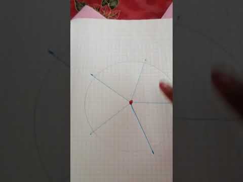 Circunferencia en partes