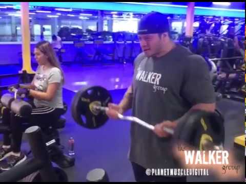 fisicoculturismo mujer ROUNDED BICEPS | BICEPS REDONDOS