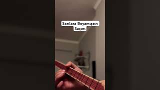 Sarılara Boyamışsın Resimi