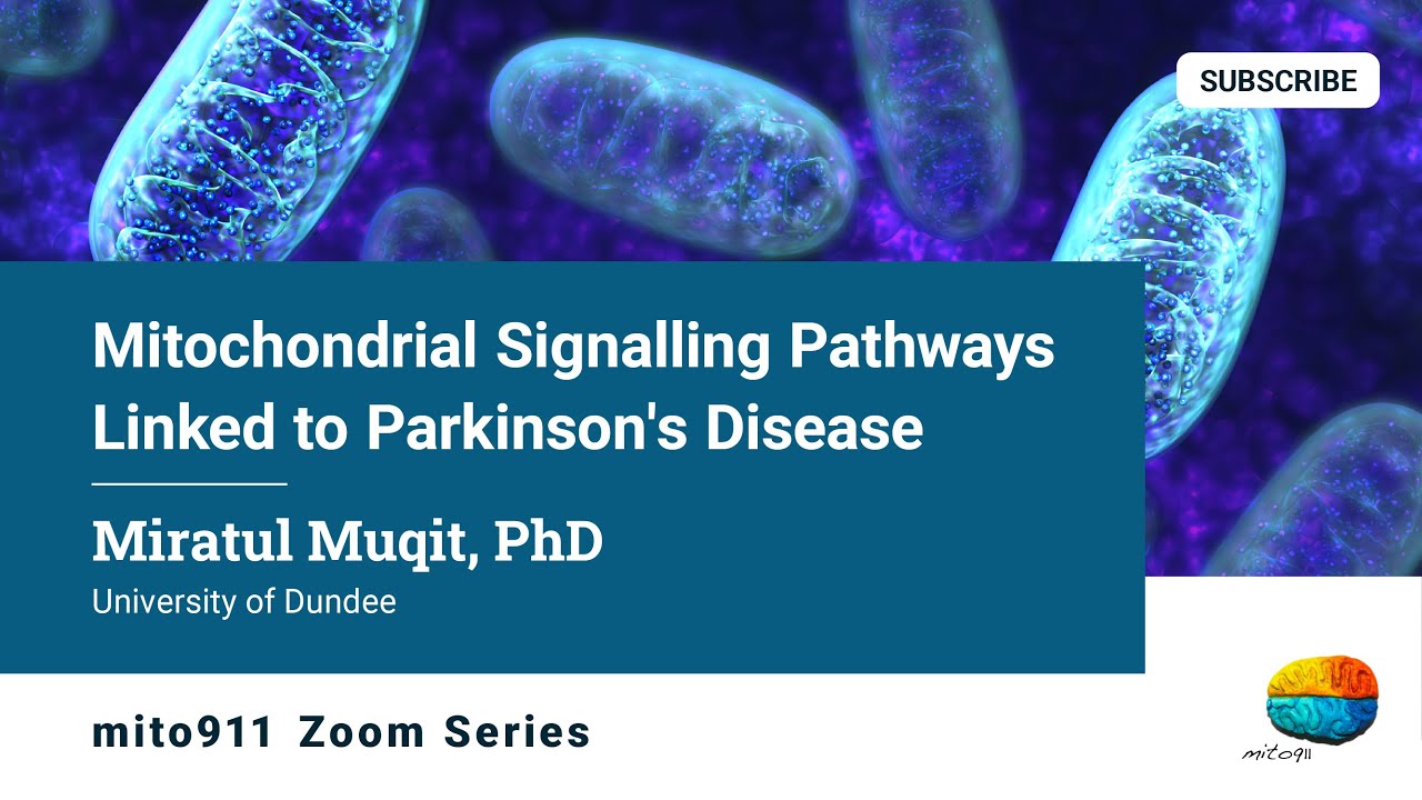 Decoding Mitochondrial Signalling Pathways Linked to Parkinson's Disease