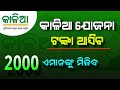 Kalia yojana big update 2024  odisha kalia yojana money transfer 2024  odisha yojana