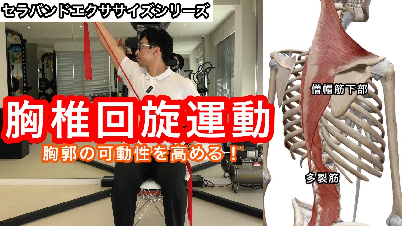 セラバンドエクササイズ⑬】胸椎回旋運動！ - YouTube