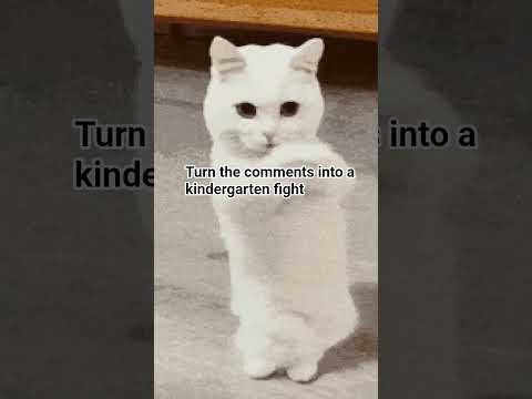 turn the comments into a kindergarten fight