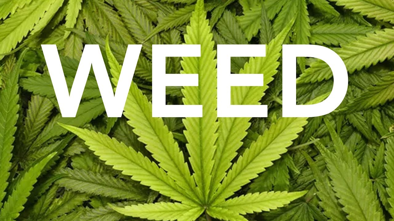 Watch 4i20 & 8THSIN - Weed (Original Mix) on YouTube Watch 4i20 & 8THSIN - Weed (Original Mix) on YouTube