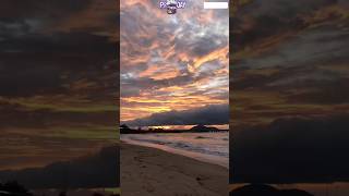 dream💫#shorts#shortsfeed#short#memes#meme#youtubeshorts#funny#lucu#fyp#fypシ゚viral#trending