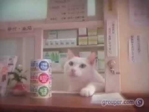 funny-japanese-cat-food-commercial-*must-see*