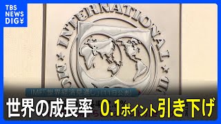 IMF世界経済見通し　世界の成長率は0.1％引き下げ　インフレ高止まり・金融市場混乱で下振れリスク高まる｜TBS NEWS DIG