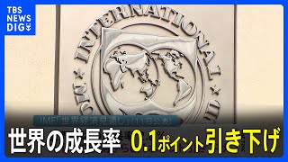 IMF世界経済見通し　世界の成長率は0.1％引き下げ　インフレ高止まり・金融市場混乱で下振れリスク高まる｜TBS NEWS DIG