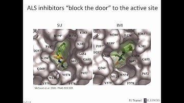 Herbicide-Resistant Weeds: Molecular Mechanisms and Impacts, Part 1: Introduction and Target-Site