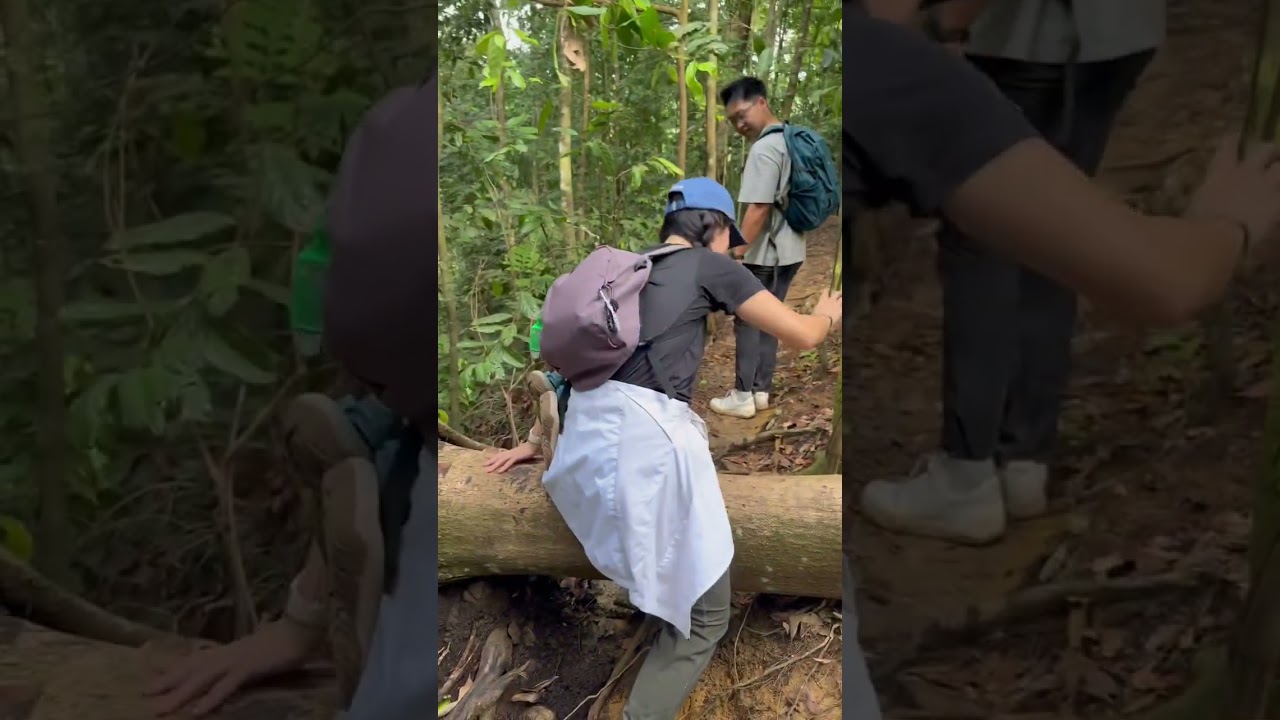 3D 2N tour in BUKIT LAWANG & BRASTAGI 