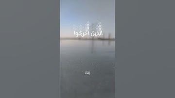 أُذِنَ لِلَّذِينَ يُقَاتَلُونَ #سورة_الحج #محمد_صديق_المنشاوي #اكسبلور #explore #explorepage #قرآن