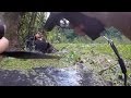 Sniffer Dog Finds Man In Swamp Sniffer Dog Finds Man In Swamp