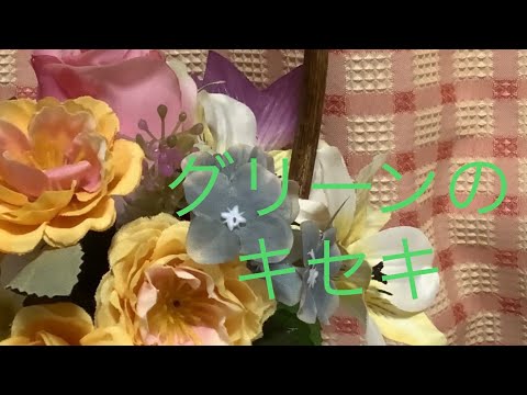 アラフィフ主婦がグリーンのキセキを歌ってみた！アカペラ