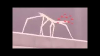 get sticked bugged lol MEME compilation NEW AUGUST