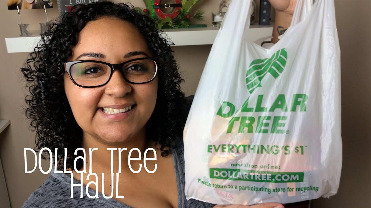 Dollar Tree Haul | RanDumbKay