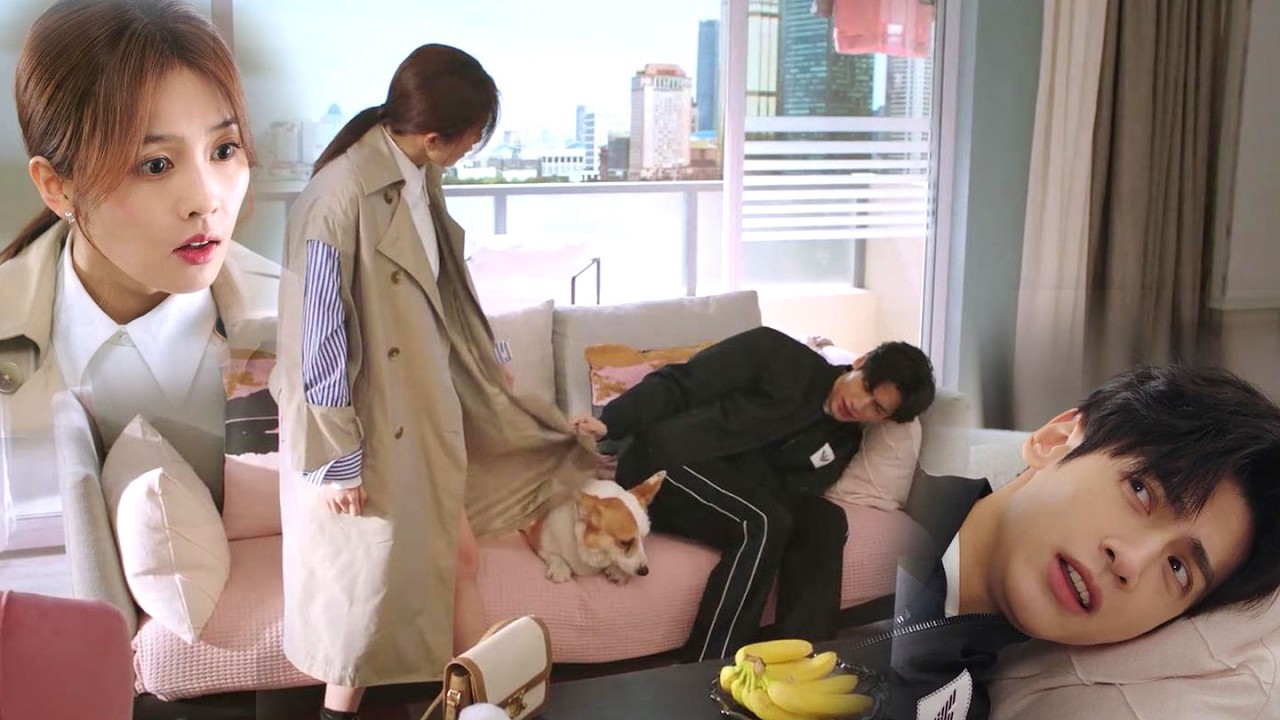 下屬上門求救，霸總趁機搬去和灰姑娘同居，戲精上身拉著灰姑娘不放只為留下！#總裁#熱劇#半是蜜糖半是伤