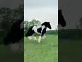 سبحان الله          قصص    نجومي
