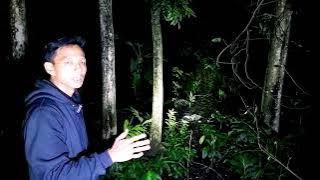 🔴 Viral‼️Greb3k wahabi tumb4Lkan d4rah pr4wan di hadap4n setan ⁉️ inilah cara mereka ritual . . .