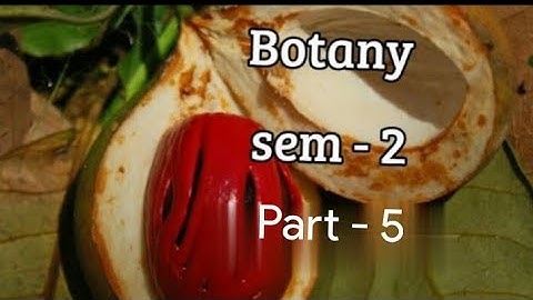Kerala University BSc Botany previous questions -  BOTANY - Part - 5  (sem 2)