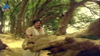 Poongatru Thirumbuma Whats app Video Song | Malaysia Vasudevan, S. Janaki | Ilaiyaraaja