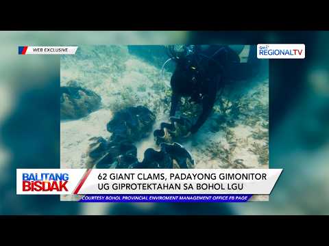 62 Giant Clams, Padayong Gimonitor | Balitang Bisdak